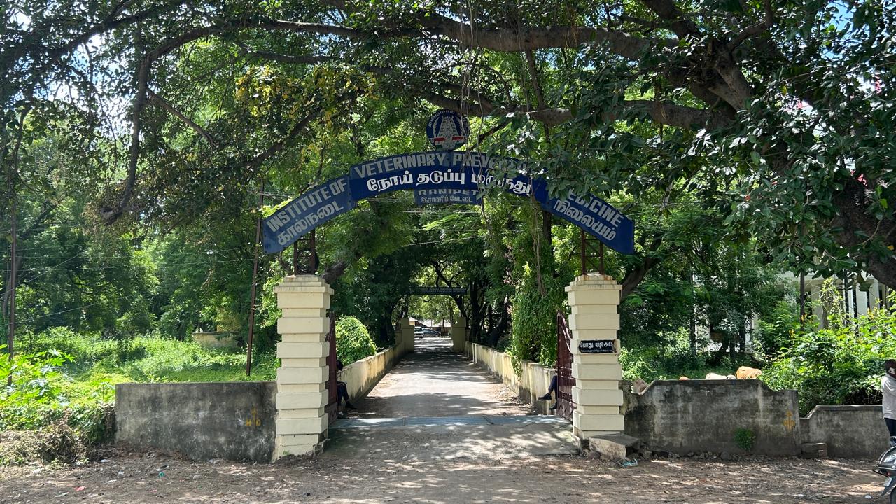 Ranikhet Disease Vaccine Komorov Strain background