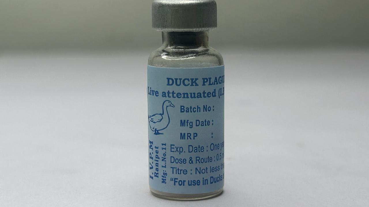 Duck Plague Vaccine packaging