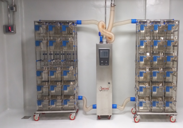 Bacterial Vaccine Production